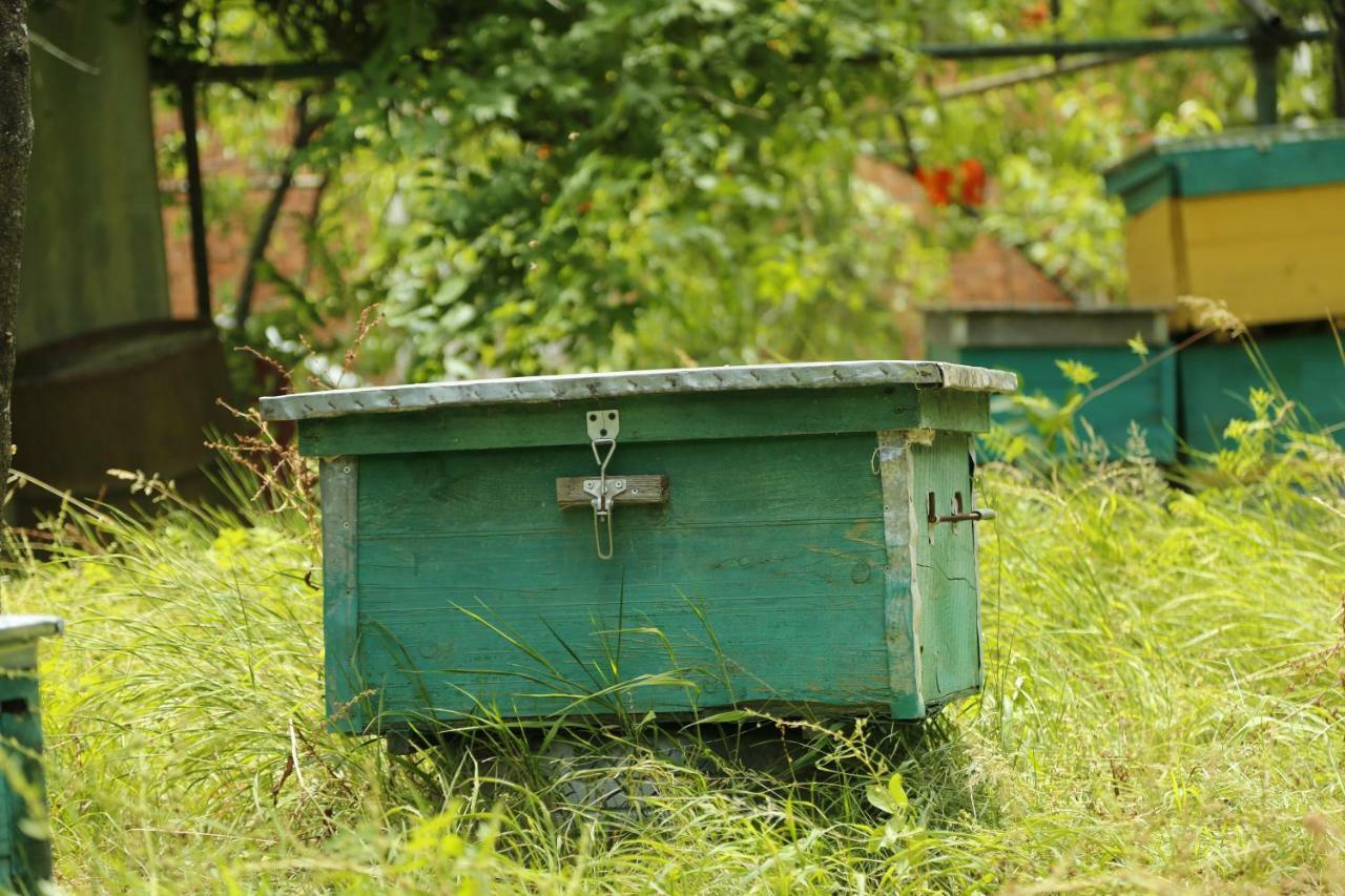 Beehives Apartment Kutaisi Bagian luar foto